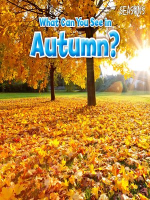 cover image of What Can You See In Autumn?